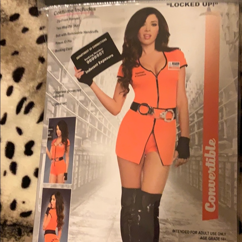Prison Halloween costume